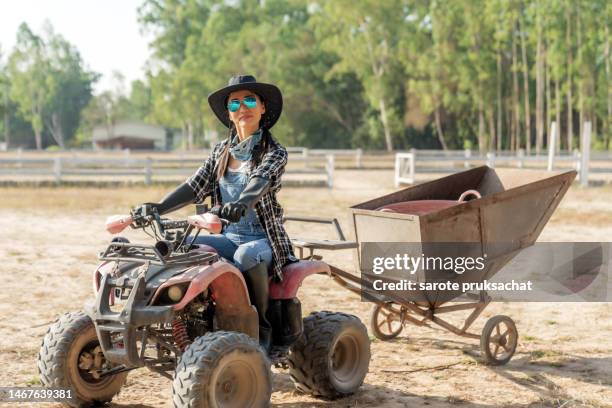 asian female farmers in horse farm. - behind the green horse stock pictures, royalty-free photos & images