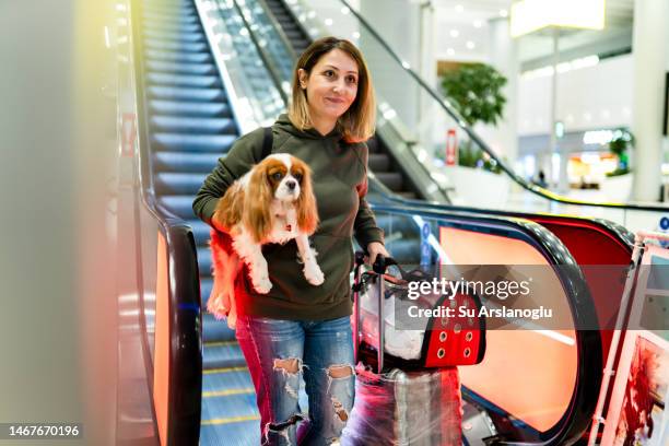 image of woman on airport escalators with her dog - roltrap stockfoto's en -beelden