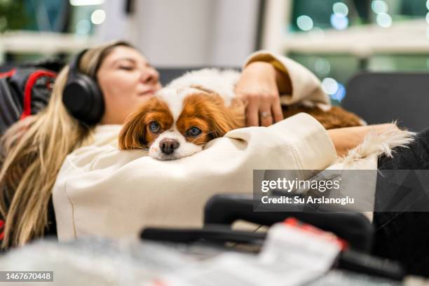 frau, die mit ihrem hund reist, wartet am flughafen auf ihren flug - auf wiedersehen pet stock-fotos und bilder