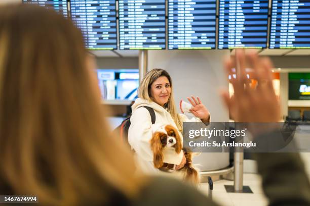 photo of woman saying goodbye to her loved ones at the airport - dog waving stock pictures, royalty-free photos & images