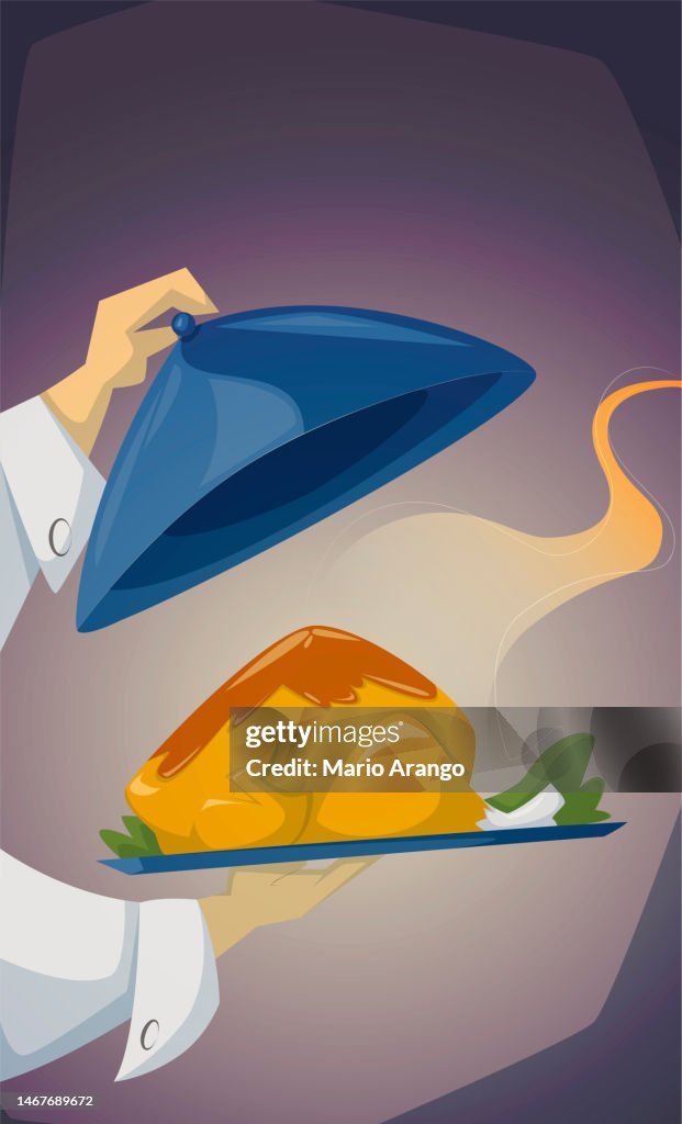 Illustration of freshly made chicken dish