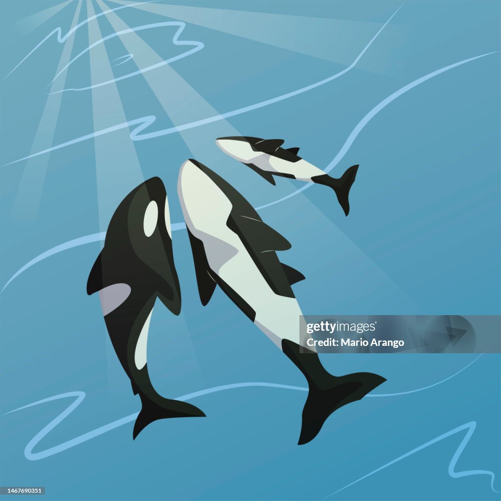 Illustration of whales together at the bottom of the sea