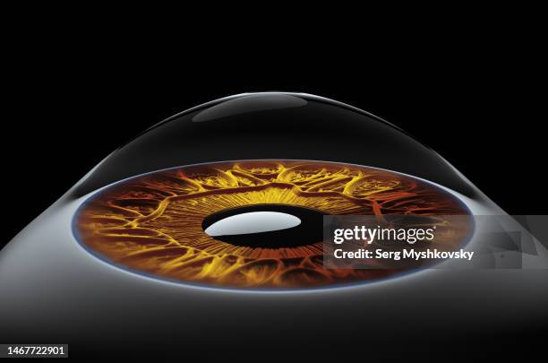 close-up of a detailed human eye with iris on a black background. - cornea stock-fotos und bilder