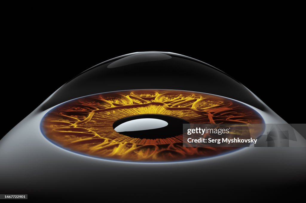 Close-up of a detailed human eye with iris on a black background.