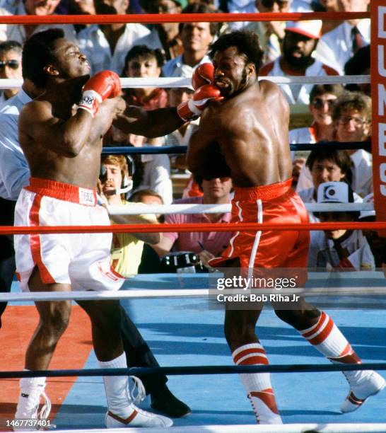 310 Michael Dokes Photos & High Res Pictures Getty Images