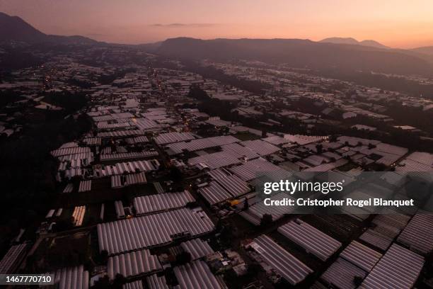 Aerial view of the Villa Guerrero region where hundreds of hectares are covered by greenhouses used for flower growing on October 01, 2022 in Villa...