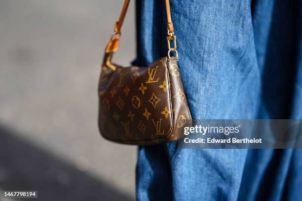 49,888 Handbag Bag Louis Vuitton Stock Photos, High-Res Pictures