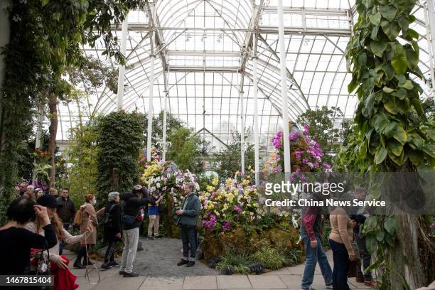 Tourists visit orchid exhibition at the New York Botanical Garden on February 19, 2023 in New York City.
