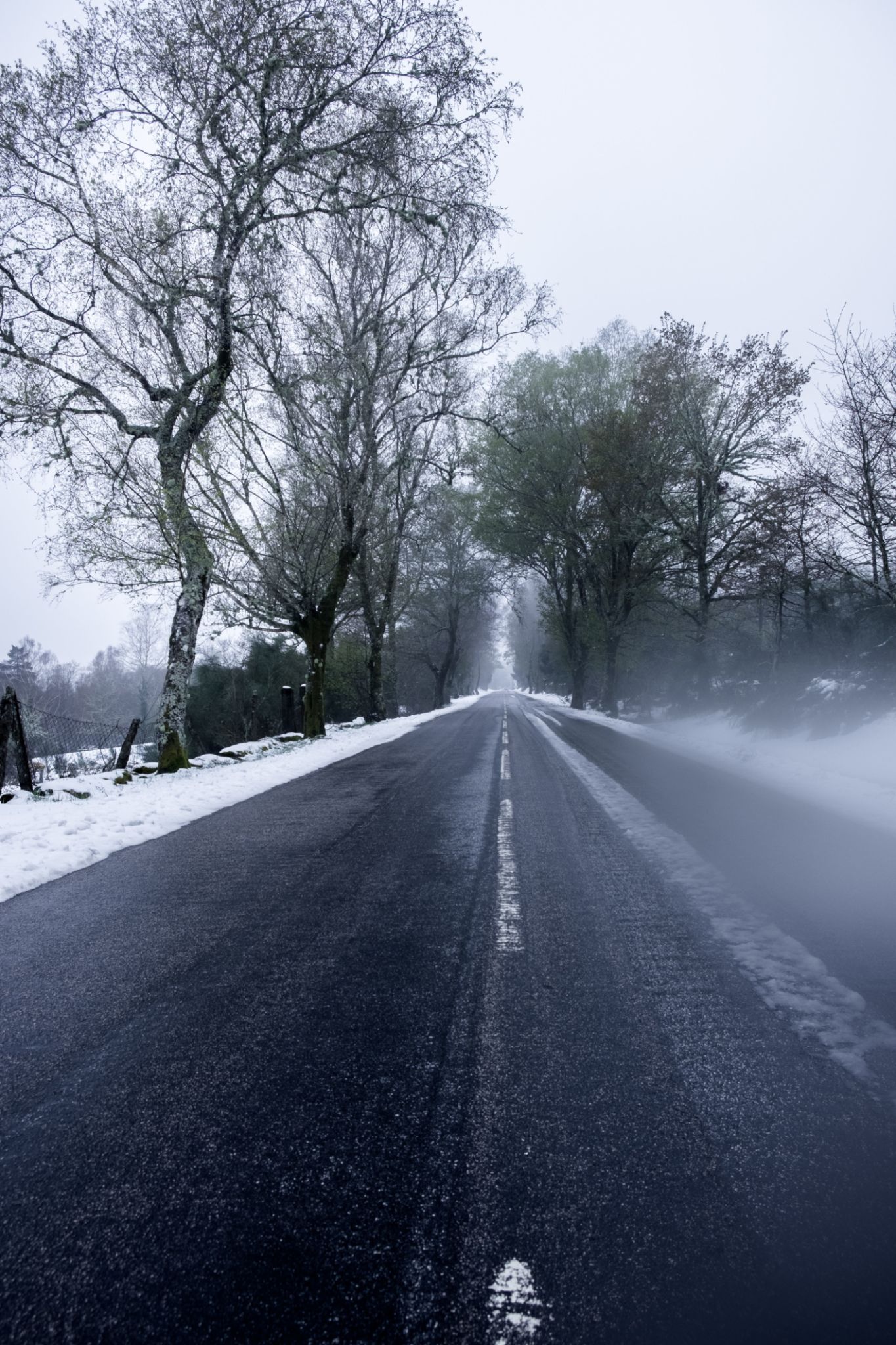 trânsito estrada inverno