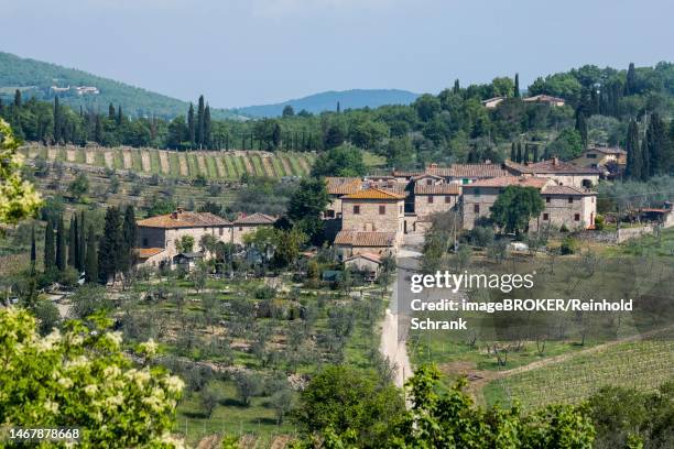 winery castello di ama, chianti region, tuscany, italy - castelo stock illustrations