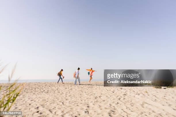 looking for perfect spot on the beach - springtime friends stock pictures, royalty-free photos & images