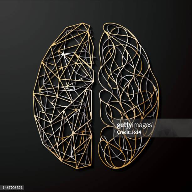 abstract human brain - right cerebral hemisphere stock illustrations