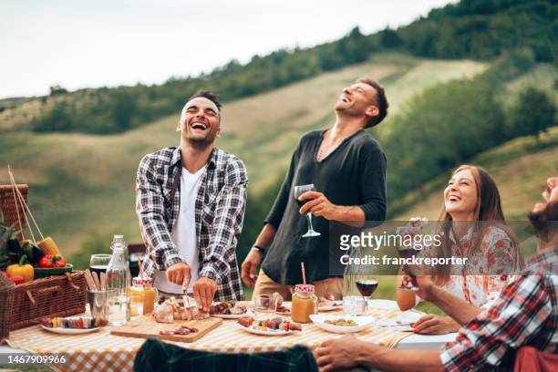 friends toasting at the picnic - table wine food stockfoto's en -beelden