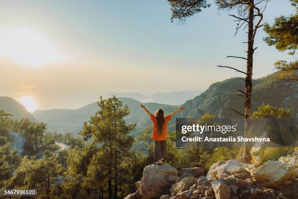 rear view of female contemplating scenic view of turkey from above during sunset - wanderer stock pictures, royalty-free photos & images