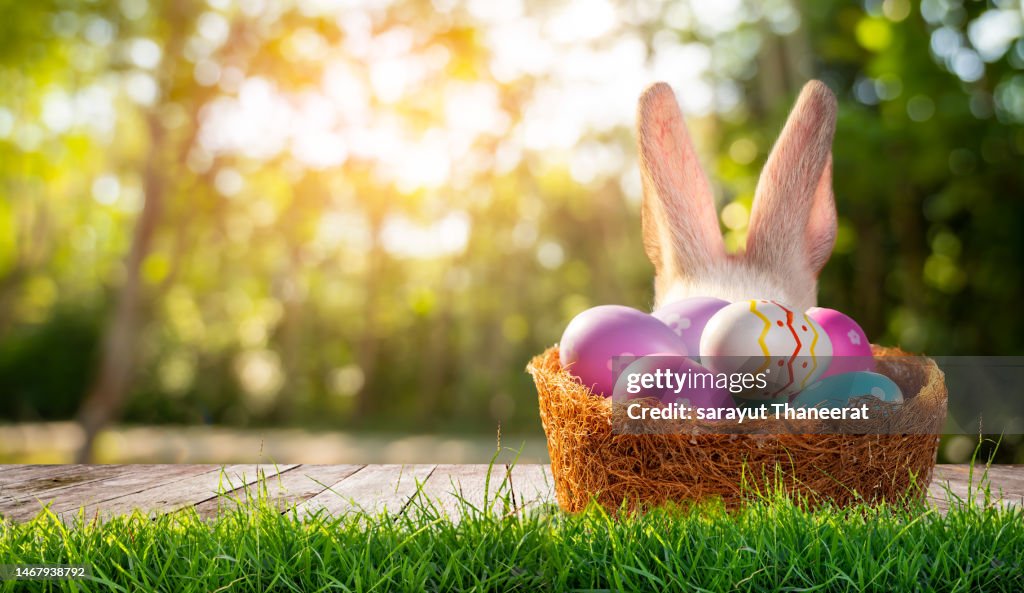 Easter day, wooden table on a background with eggs rabbit in the lawn on a sunny day