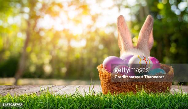 easter day, wooden table on a background with eggs rabbit in the lawn on a sunny day - 復活節 個照片及圖片檔