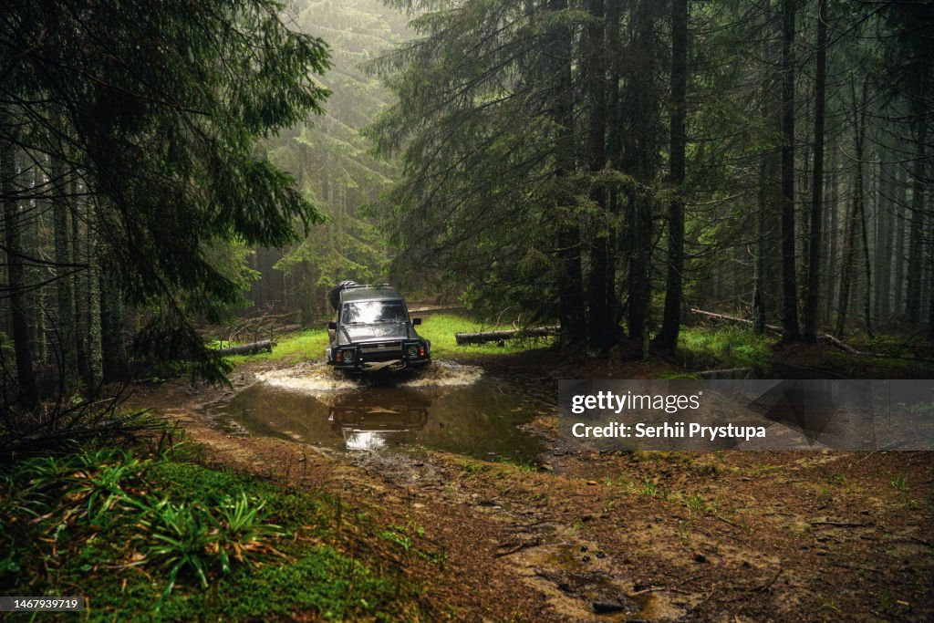An off-road vehicle drives through a forest swamp
