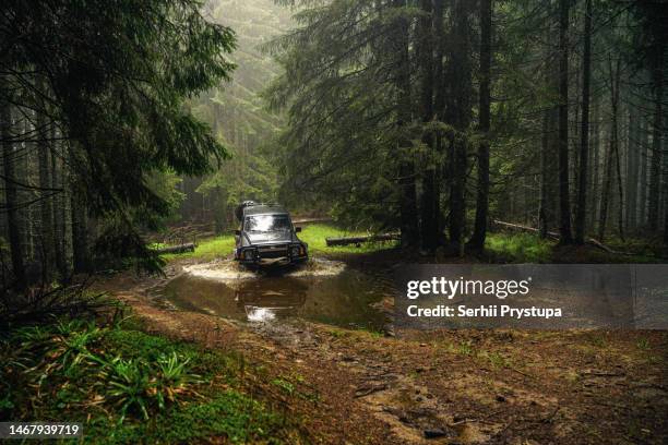 an off-road vehicle drives through a forest swamp - off road vehicle stock pictures, royalty-free photos & images