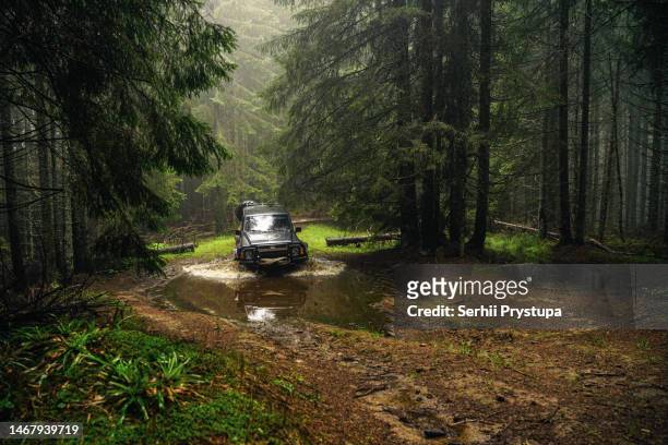 an off-road vehicle drives through a forest swamp - off road vehicle imagens e fotografias de stock