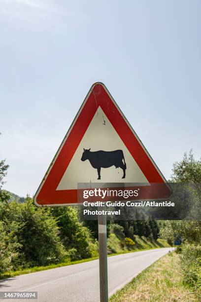 tuscany, cattle crossing signal - road signal ストックフォトと画像