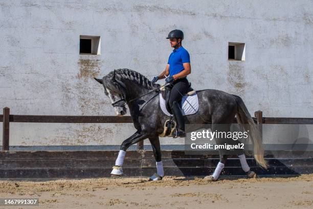 young jockey riding a thoroughbred horse - taming horse stock pictures, royalty-free photos & images