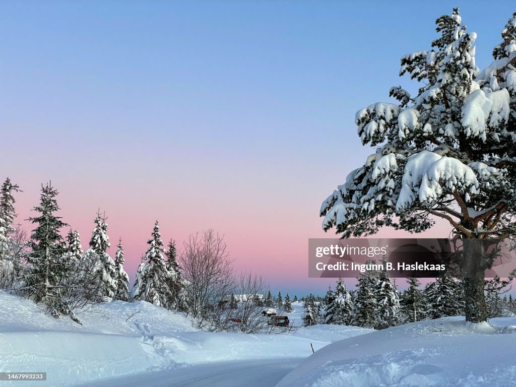 Lovely winter sunset with pastel colors in the mountains. Lots of snow and snow covered trees along the road.