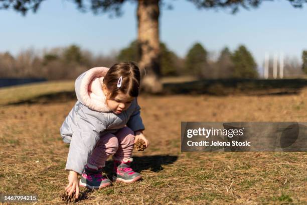 the girl is playing with the pine cone under the tree - conifer cone stock pictures, royalty-free photos & images