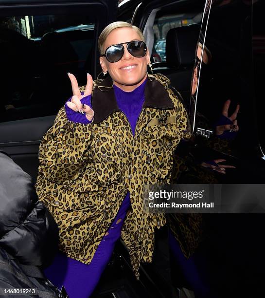 Singer Pink is seen outside Hudson Yards on February 20, 2023 in New York City.