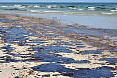 Oil Spill on Beach