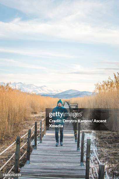 man walks on boardwalk over marsh - boardwalk stockfoto's en -beelden