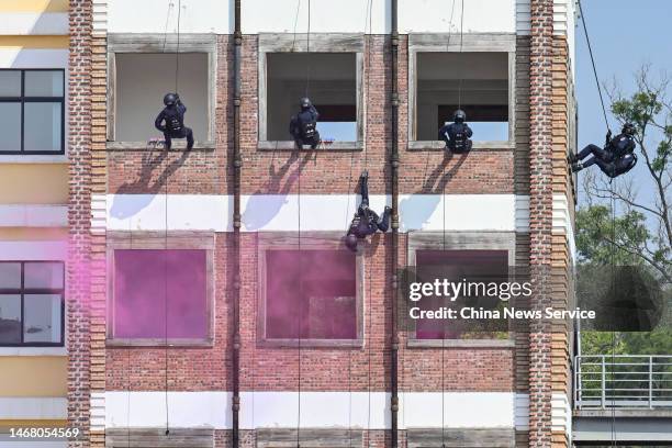 Teamwork Rope Photos and Premium High Res Pictures - Getty Images