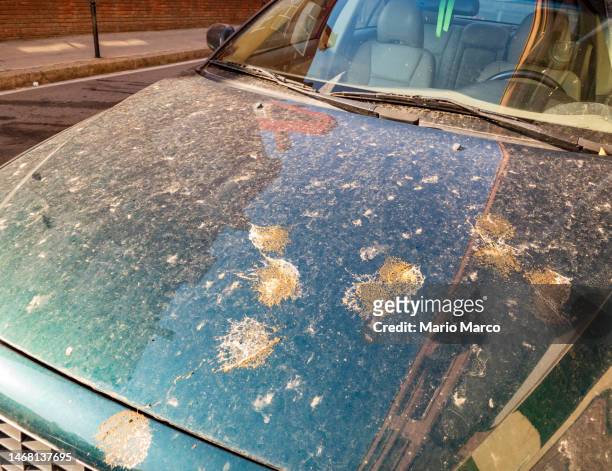 car parked and very dirty - broken windshield stock-fotos und bilder