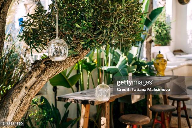 street café with natural design, tropical plants around. sunny summer day. - boho-stil stock-fotos und bilder