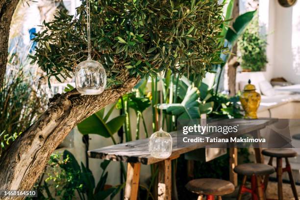 street café with natural design, tropical plants around. sunny summer day. - khaki stock pictures, royalty-free photos & images