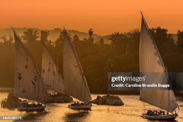 feluccas on the nile, aswan, egypt - aswan stock pictures, royalty-free photos & images