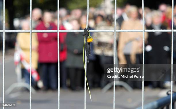 Single flower hangs with a black ribbon on a fence as the public lines up at Noordeinde Palace to view the coffin and pay their respects to Prince...