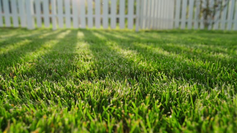 https://media.gettyimages.com/id/1468237436/video/shadows-from-a-white-fence-on-a-mowed-green-lawn-sunny-summer-day-outside-the-city-well.jpg?b=1&s=640x640&k=20&c=6Ea5a3dQ3hYNP1sB4jLsC_g1JBIXioh8Cwe36u3IdRo=