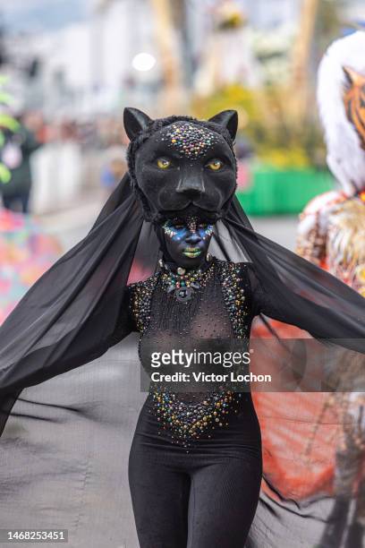 Jeune femme avec un déguisement de panthère lors du défilé des 150 ans du carnaval de Nice le 18 février 2023.
