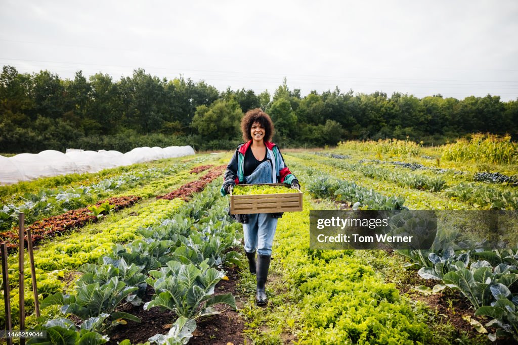 Woman Carrying Crate Of Harvested Vegetables