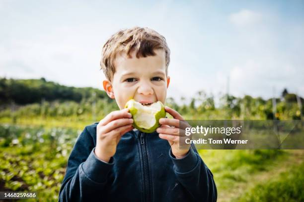portrat of young boy eating apple on farm - apple fruit stock pictures, royalty-free photos & images