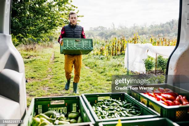 farmer loading van with freshly harvested vegetables - farmer market stock pictures, royalty-free photos & images