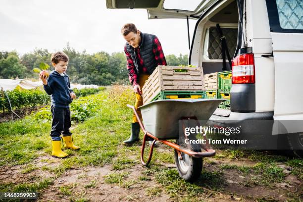 father and sone working together moving poduce on organic farm - fruit laden trees stock-fotos und bilder