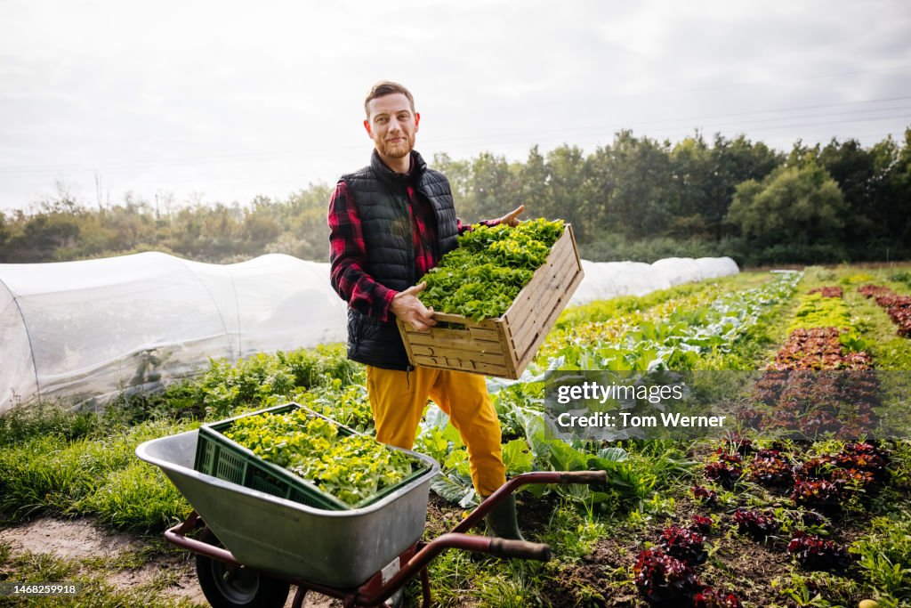 Portrait Of Farmer Holding Crate Of Freshly Harvested Vegetables