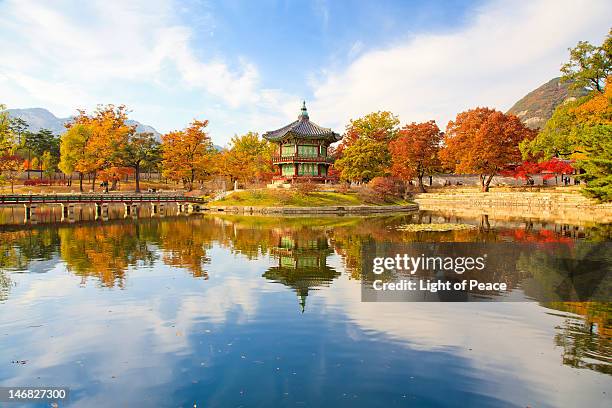 autumn of korean royal palace - seoul foto e immagini stock