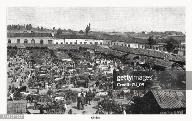 marketplace of chillán in chile, wood engraving, published in 1899 - chillan stock illustrations
