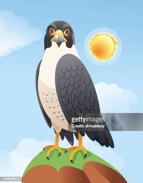 falke - peregrine falcon stock-grafiken, -clipart, -cartoons und -symbole