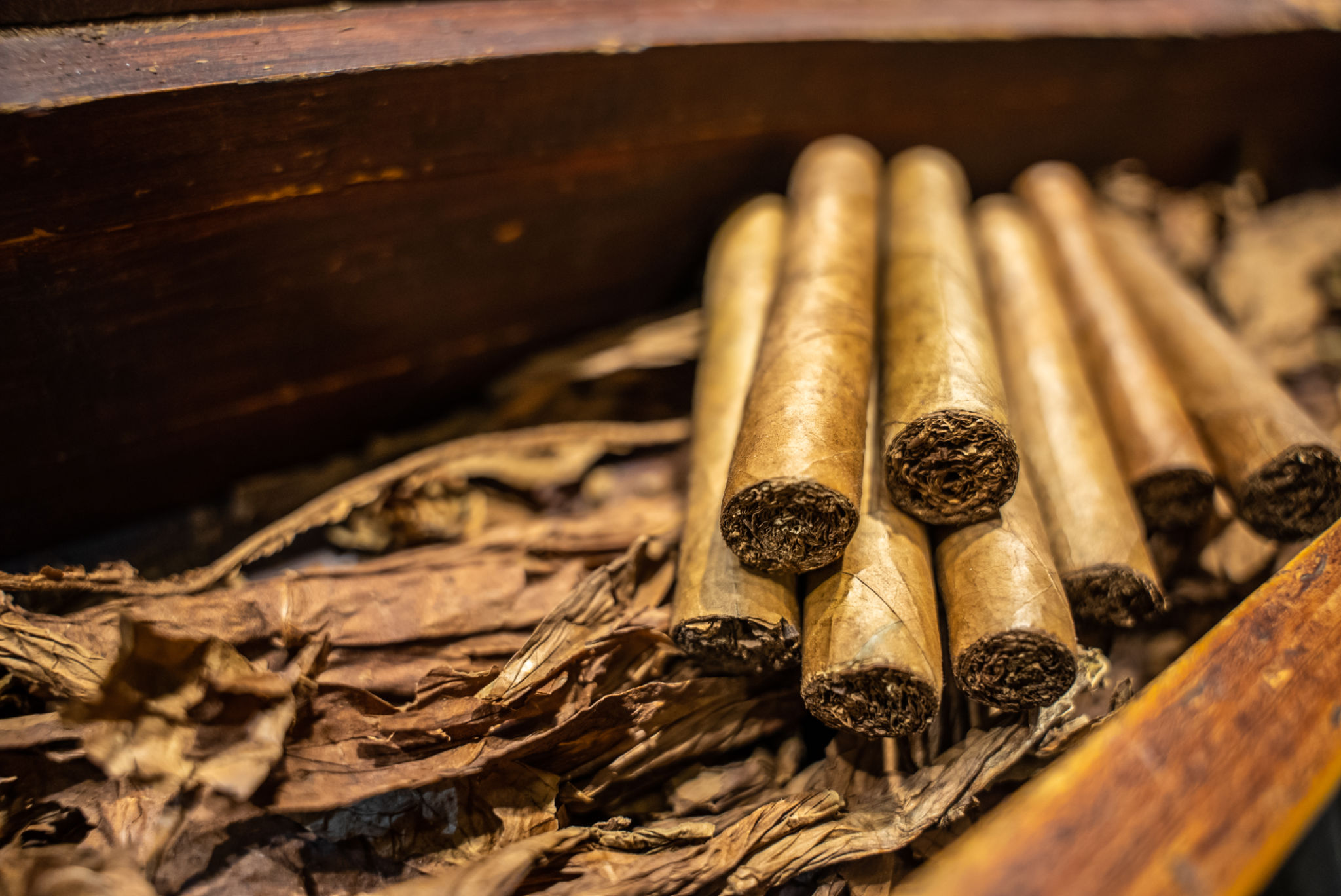 checking cigar quality