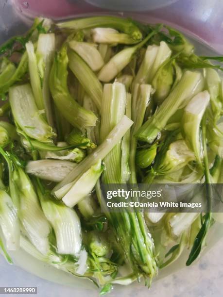 puntarelle salad - krulandijvie stockfoto's en -beelden