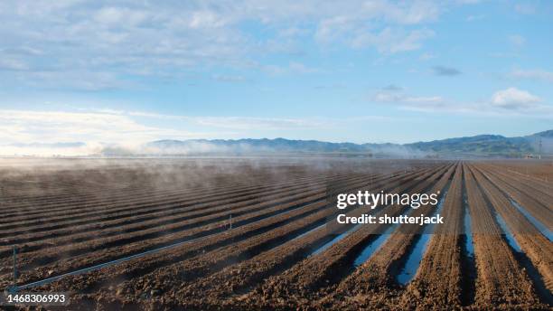 mist over a waterlogged fallow field, soledad, monterey, california, usa - flood preparation stock pictures, royalty-free photos & images