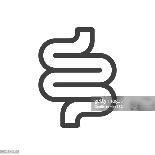 ilustraciones, imágenes clip art, dibujos animados e iconos de stock de icono vectorial de línea intestinal sobre fondo blanco. trazo editable. pixel perfecto. para móviles y web. esbozar gráficos vectoriales. - colon